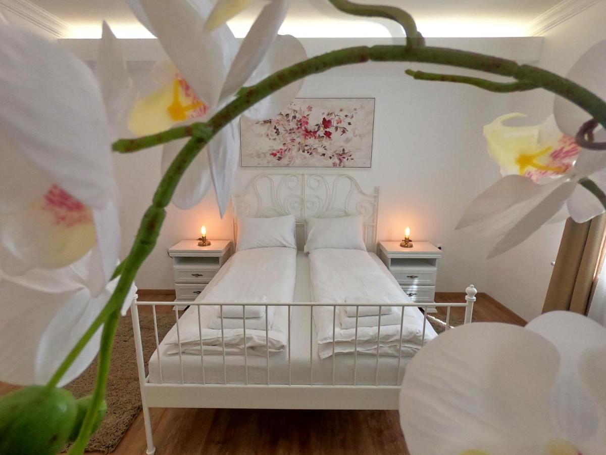 Spring Rustik Apartment